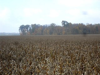 Property photo 1 - PRIME LAND AUCTION, 131+/- Acres offered in 4 Tracts from 14-45 Acres